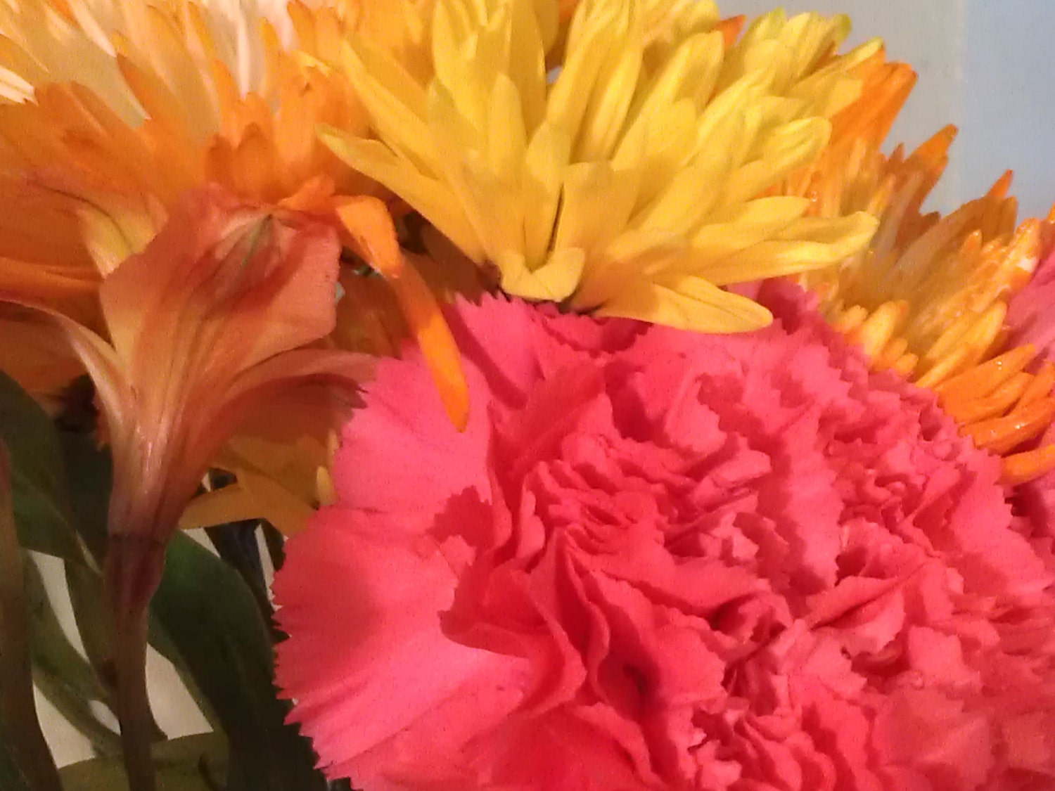 Flowers 5x7 Print  Mothers Day Flowers Colorful Flower Home Decor Carnations Yellow
