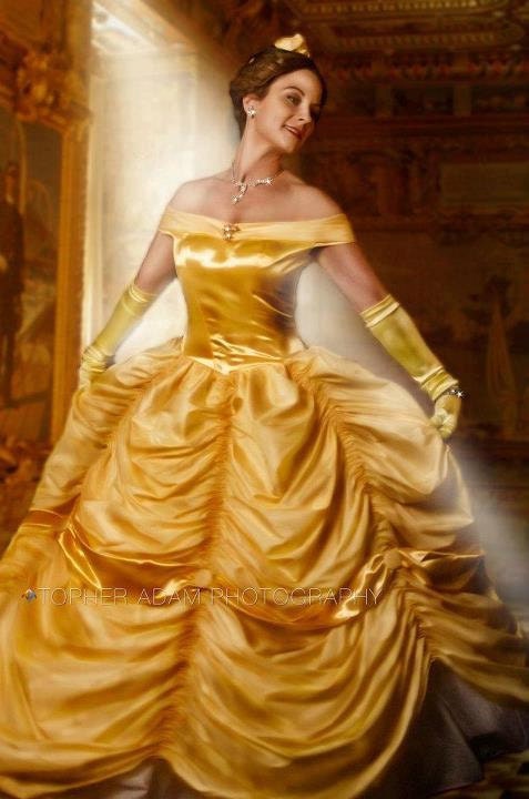 Belle Version I Adult Costume Dress Gown Beauty and the Beast
