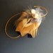 Creativity Abundance Spirit Stone Citrine Pheasant Feathers