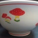 Vintage Porcelain Bowl with Mushrooms