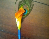 Orange Calla Lily Boutonniere with Peacock Feather and Grass Loop