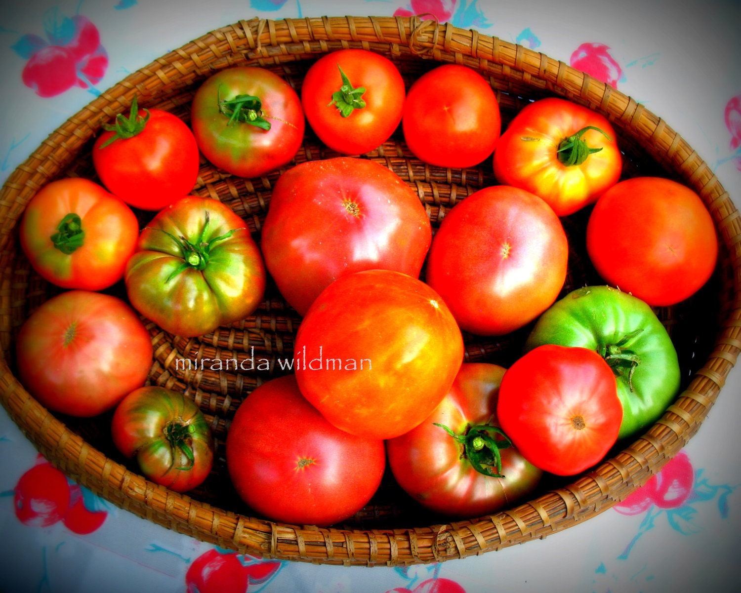 basket o maters 8x10 photograph by Miranda Wildman FREE SHIPPING