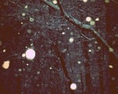 night snow 8x10 photograph by Miranda Wildman FREE SHIPPING