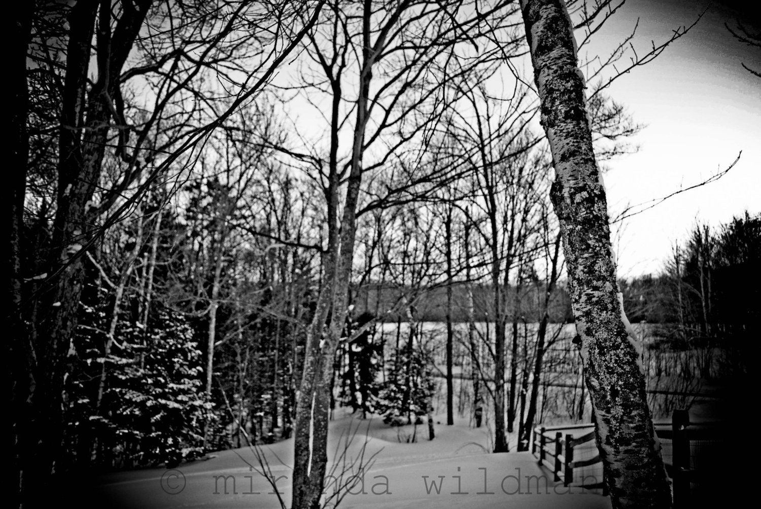 silence in winter  8x10 photograph by Miranda Wildman FREE SHIPPING