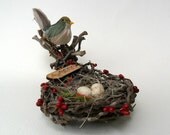 BIRD and EGGS Assemblage in Handmade Nest from Palm Tree