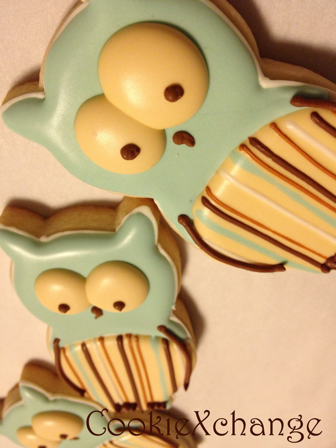 Owl decorated Cookies dessert buffets Favors birthday shower or just because