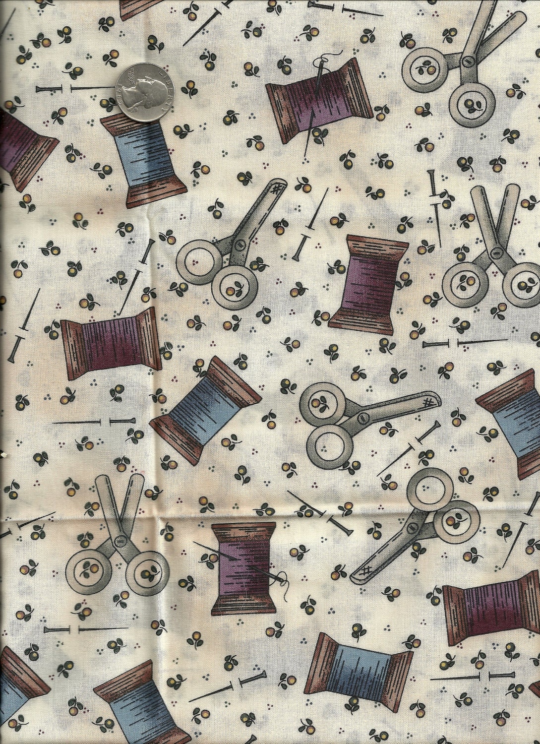 Quilters Cotton Border Print 2 3/4 Yards with 3/4 Yards Coordinated Fabric X0118 Sewing, Thread, Scissors