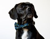 Navy Sprout Dog Bowtie Collar