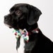 Colorful Cubes Dog Bow Tie Collar
