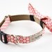 Pink Honeycomb Bow Tie Dog Collar