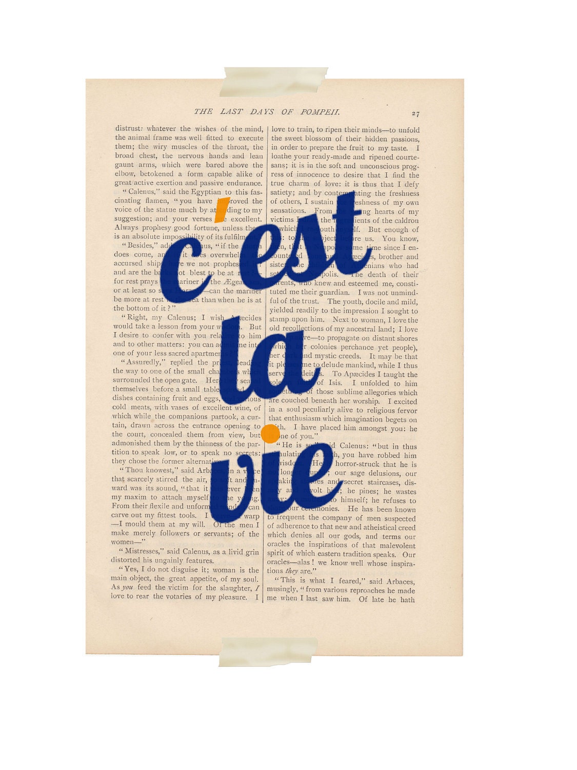 inspirational quote - C'est La Vie - french quote dictionary art print inspirational quote - C'est La Vie - french quote dictionary art print