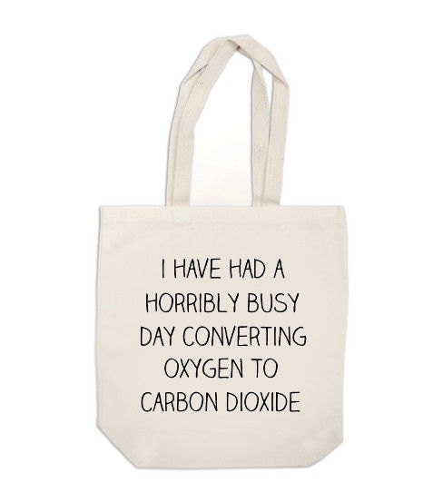 canvas tote bag - I've Had a Horribly Busy Day - book bag tote
