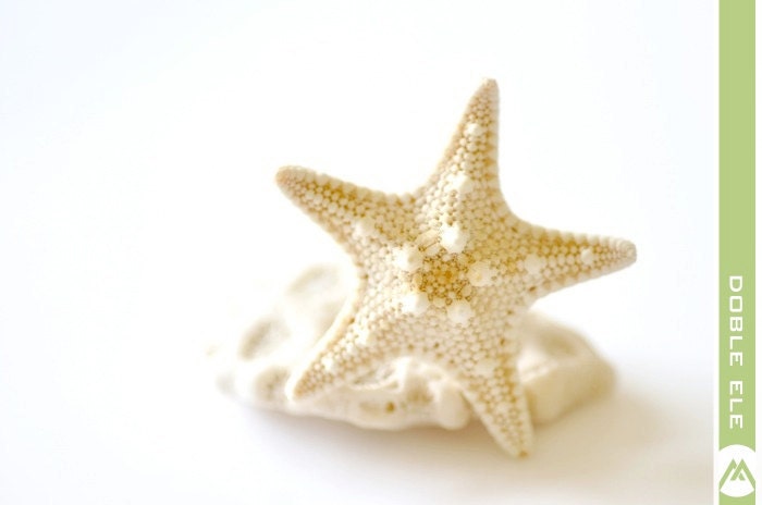 Starfish Ring