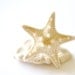 Starfish Ring