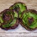 Silk Flowers - Three Silk Ranunculus in Lime Green with Purple - Artificial Flowers