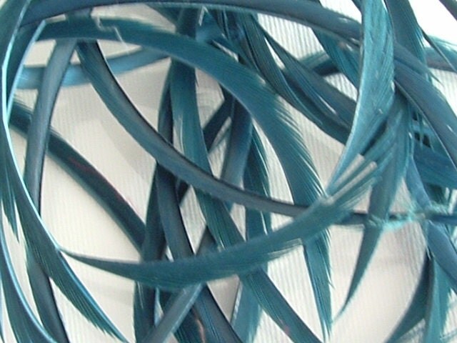Lot of 30 Loose Goose Biots - Teal