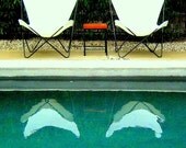 San Jose Pool 8x10