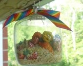 sand and colored seashells glass oranment RAINBOW