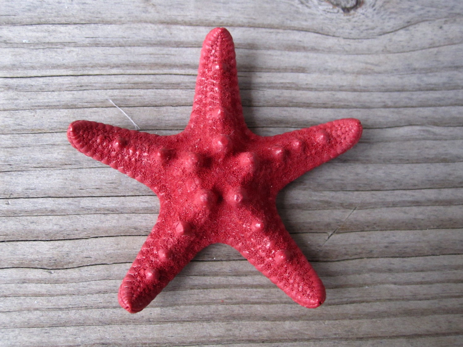 RED knobby starfish bobby pin HAIR clip