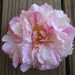 light pink peony hair clip -- Amazing quality