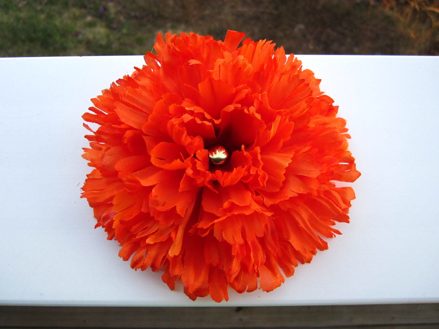 Orange Carnation Flower