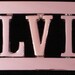 Have Elvis on your very own pelvis -- Silver ELVIS nameplate belt buckle