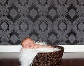 SALE Photography Backdrop Black and Gray Damask 5x9, Seamless, Matte Finish, Machine Wash/Dry