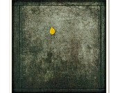 Concrete Jungle - Fine Art Photographic 8x8 inch/20.32x20.32 cm Print by Doug Armand on Etsy - DAIP0078