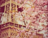 Paris in Bloom - 8x8 fine art photo print. Buy one get one free sale.