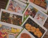 Vintage Florida Collection notecards, set of 8
