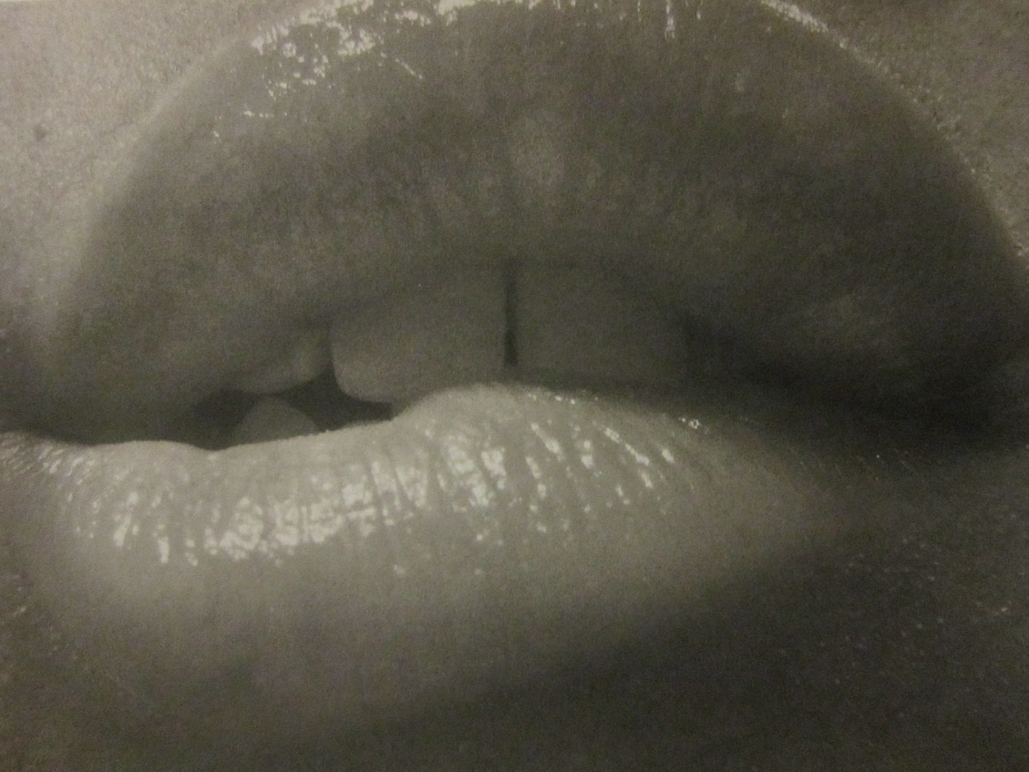 Bite It in Black and White