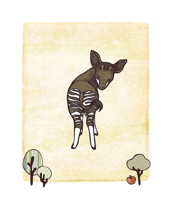 Okapi - 8x10 Print