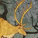 Ceryneian Stag