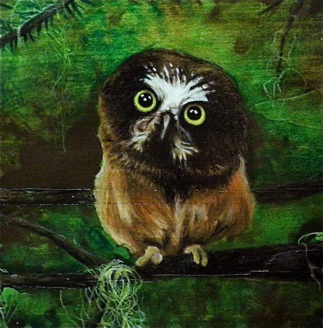 Forest Owl