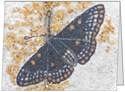Butterfly note cards from original sand paintings of north american butterflies set of 4 blank cards and envelopes