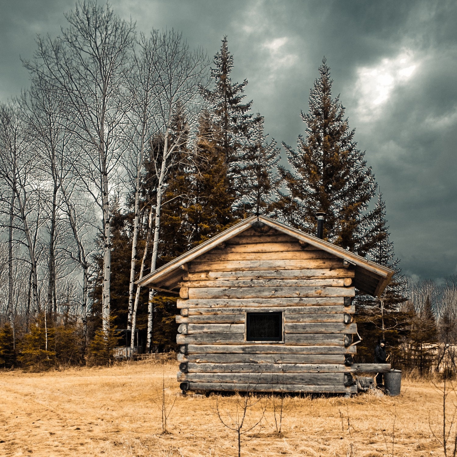 Photo of Rustic, Primitive Log Cabin in Golden Field. Fine Art Photo Entitled Picture Window - 8 X 8