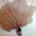 Vintage ink well bottle with soldered sea fan