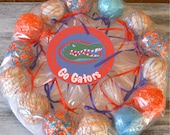 Cake Pops - Florida Gators Graduation Gift, Tailgate Party, Birthday Cake Pops (12) Il_170x135