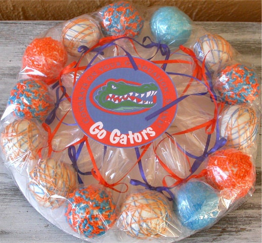 Cake Pops - Florida Gators Graduation Gift, Tailgate Party, Birthday Cake Pops (12)