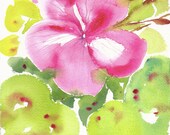 Fresh Pick No.357, limited edition of 50 fine art giclee prints