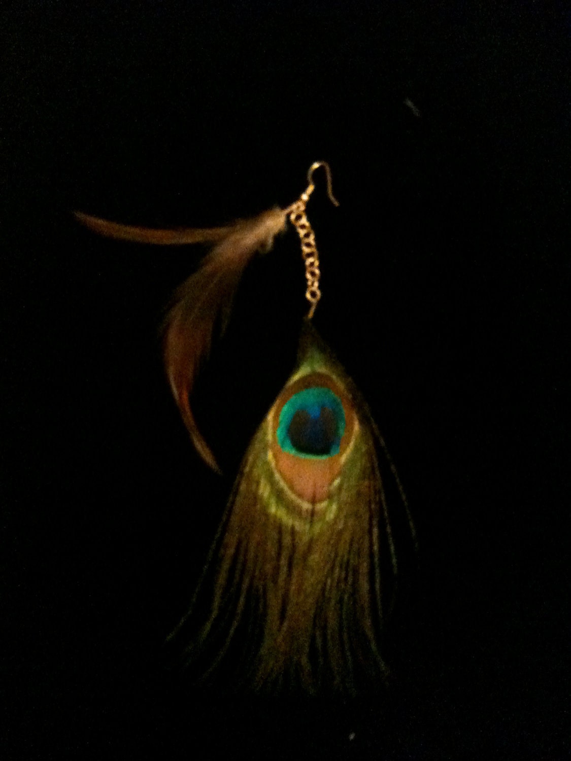 Peacock and Coque Feather Earring and Stud Set