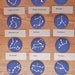 Pisces Zodiac Constellation Cross Stitch Embroidery Necklace