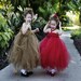 Classy red tutu dress available in red and gold. Available sizes newborn to 24 months.