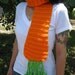 Orange you Big Giant Orange Carrot Scarf