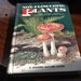 Vintage GOLDEN Nature Guide Non-Flowering Plants - MUSHROOMS 1967