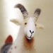 Gerhard - Felt Goat. Art Marionette, Puppet, Felted Animal, Stuffed Toy. Special order for litlredhen.