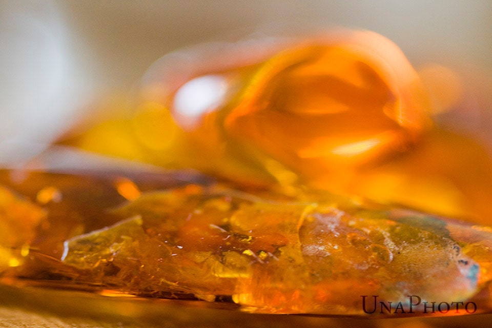 Amber - 8x10 Fine Art Photograph
