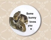Some bunny loves you. Pinback button