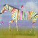 Rainbow Zebra