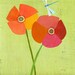 Two Poppies Print